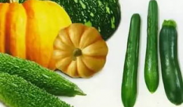 翰林府国产吃瓜爆料,揭秘娱乐圈幕后真相